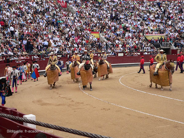 Corrida de Toro