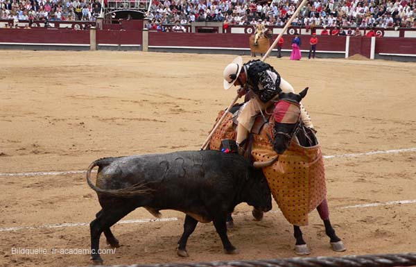 Picador in der Arena