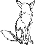 canine-2025525_1280